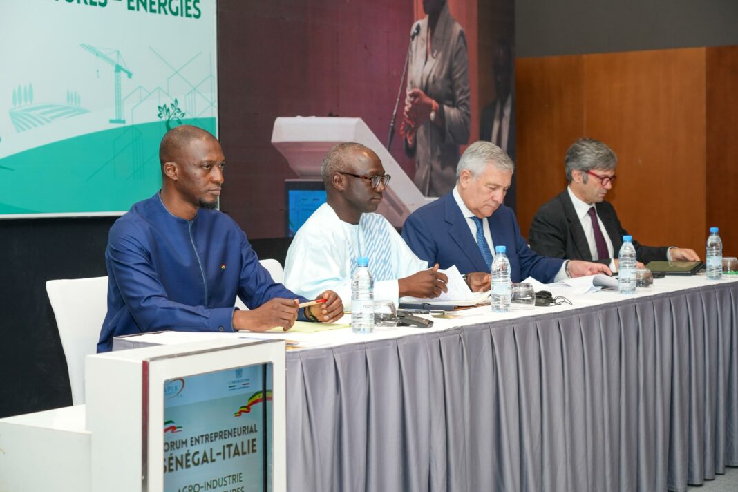 WhatsApp Image 2025-10-29 at 21.03.38