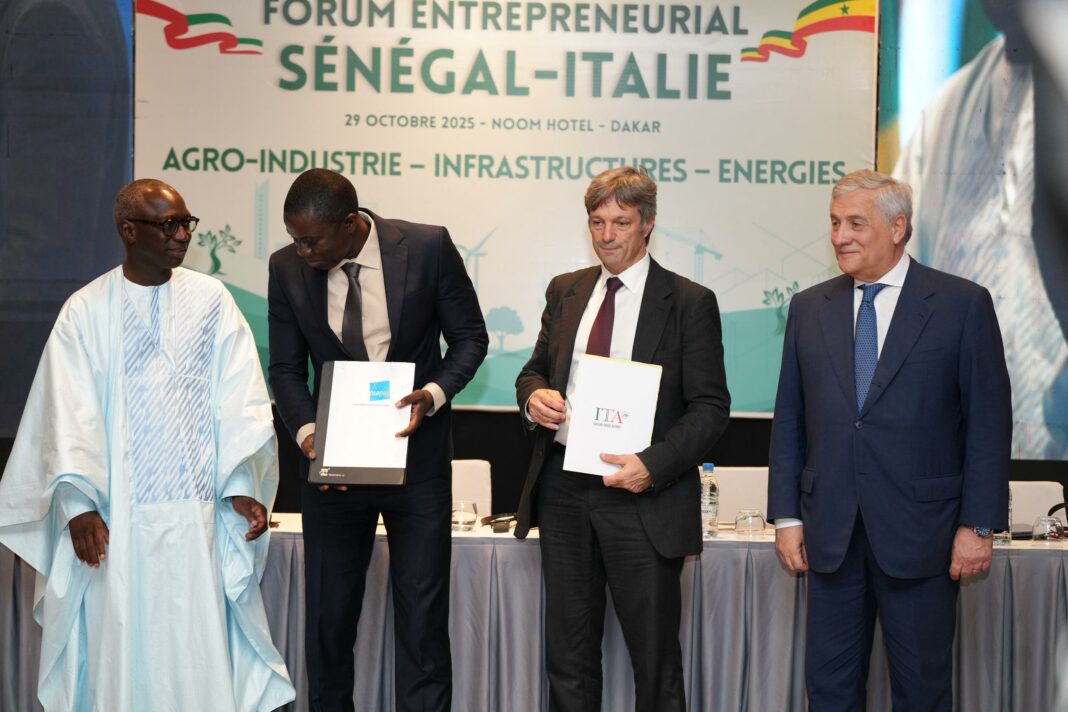 WhatsApp Image 2025-10-30 at 13.05.02