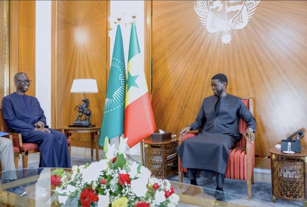 Vision Sénégal 2050 : SENICO annonce des investissements dans l’agriculture Vision Sénégal 2050 : SENICO annonce des investissements dans l’agriculture