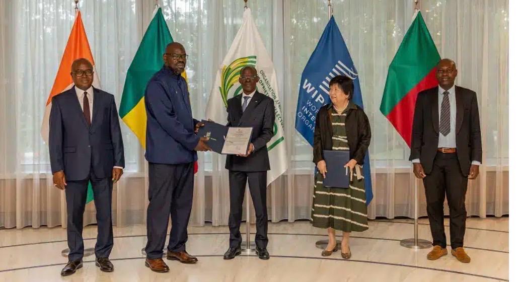 Sénégal : le Madd de Casamance obtient son certificat d’enregistrement international Sénégal : le Madd de Casamance obtient son certificat d’enregistrement international