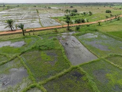 Togo : 14,7 milliards FCFA pour aménager et réhabiliter les terres agricoles de Kovié Togo : 14,7 milliards FCFA pour aménager et réhabiliter les terres agricoles de Kovié
