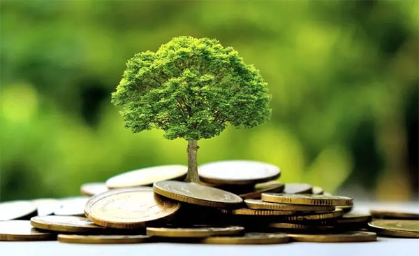 Obligation verte : l’Afrique du Sud vise une émission souveraine avant mars 2027 Obligation verte : l’Afrique du Sud vise une émission souveraine avant mars 2027