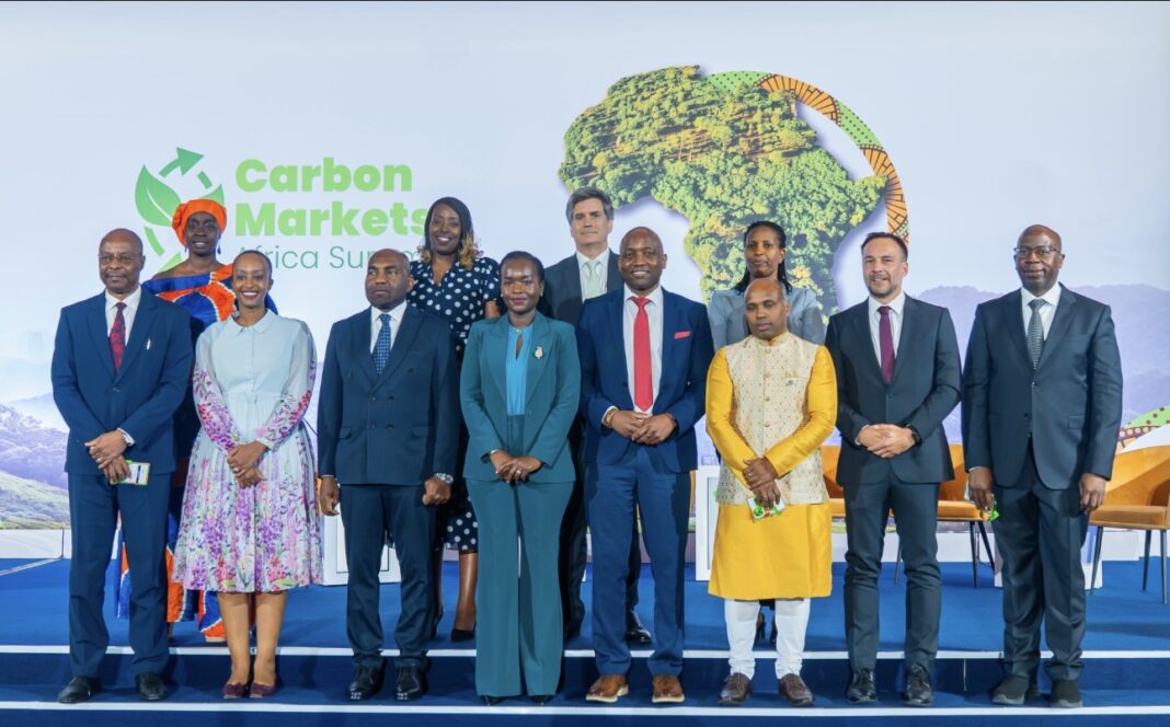 Marchés carbone : l’Afrique veut attirer davantage d’investissements Marchés carbone : l’Afrique veut attirer davantage d’investissements
