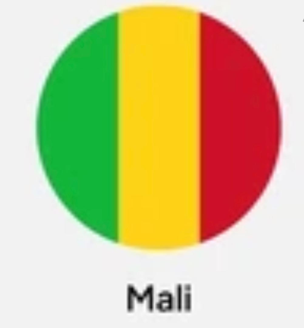 MARCHÉ DES TITRES PUBLICS: LE MALI SOLLICITE 30 MILLIARDS DE FCFA SUR LE MARCHÉ RÉGIONAL MARCHÉ DES TITRES PUBLICS: LE MALI SOLLICITE 30 MILLIARDS DE FCFA SUR LE MARCHÉ RÉGIONAL